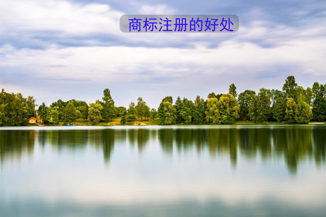 企業(yè)注冊商標(biāo)